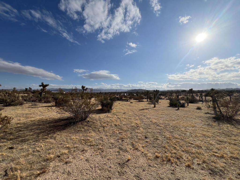 Yucca Valley, CA 92284,0 Campanula ST