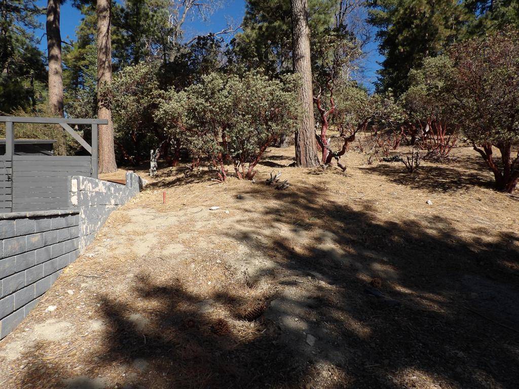 Pine Cove, CA 92549,0 Cedar Crest DR
