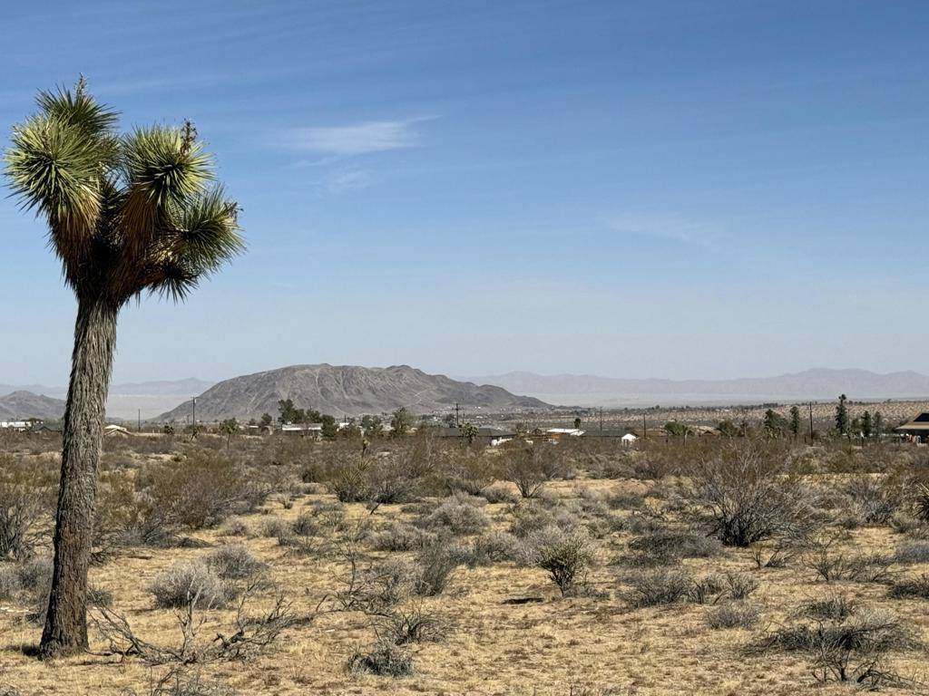 Yucca Valley, CA 92284,476 Ripon AVE