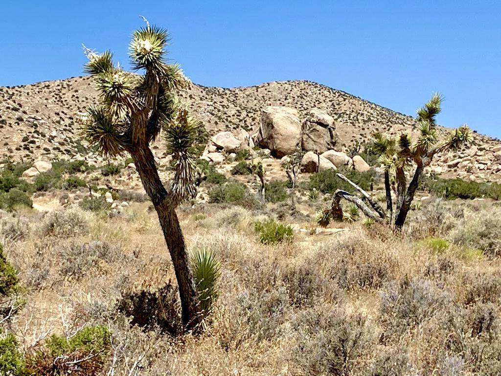 Pioneertown, CA 92268,51001 Geronimo TRL