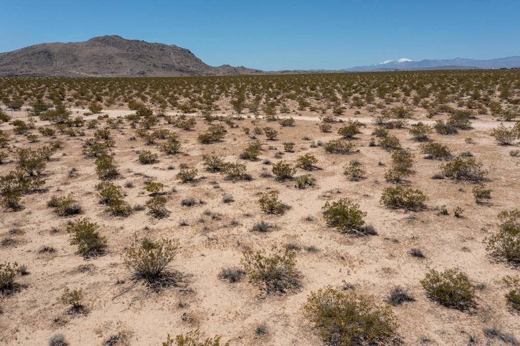 Joshua Tree, CA 92252,3375 Sunset RD