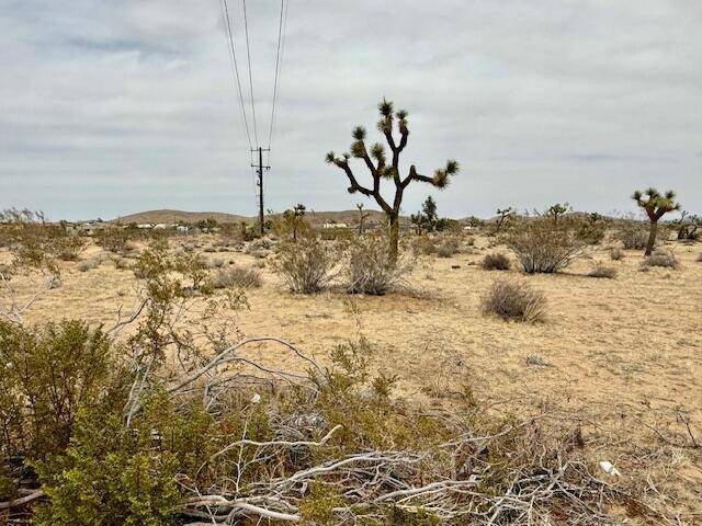 Yucca Valley, CA 92284,0 Drexel DR