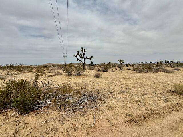 Yucca Valley, CA 92284,0 Drexel DR