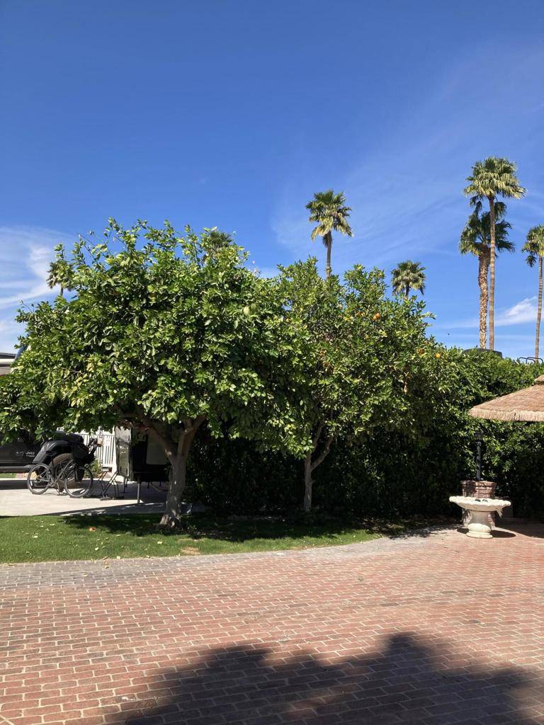 Cathedral City, CA 92234,69411 Ramon RD #201