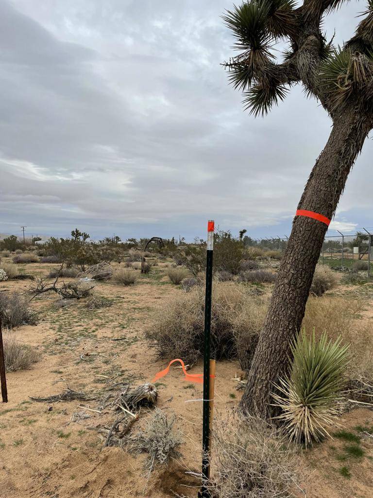 Yucca Valley, CA 92284,58383 Beavertail LN