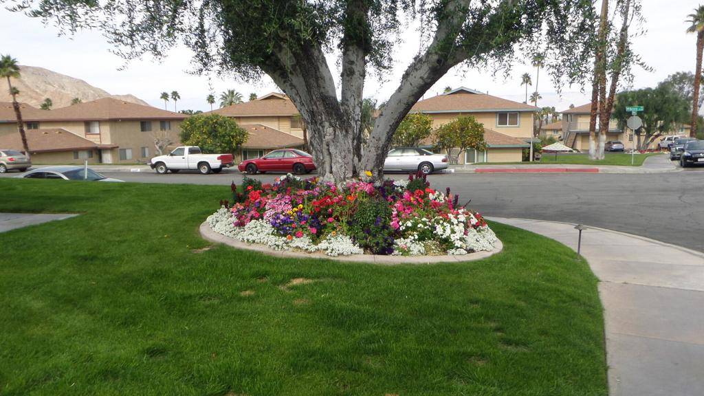 Palm Desert, CA 92260,46781 Highway 74 #3