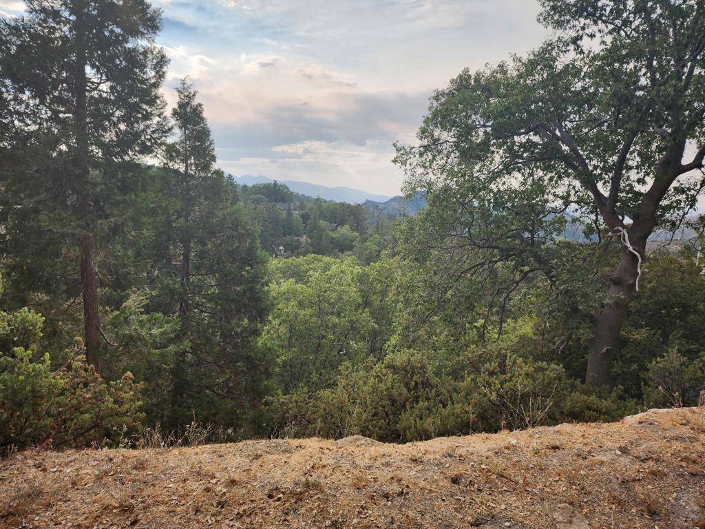 Lake Arrowhead, CA 92352,0 Evergreen LN