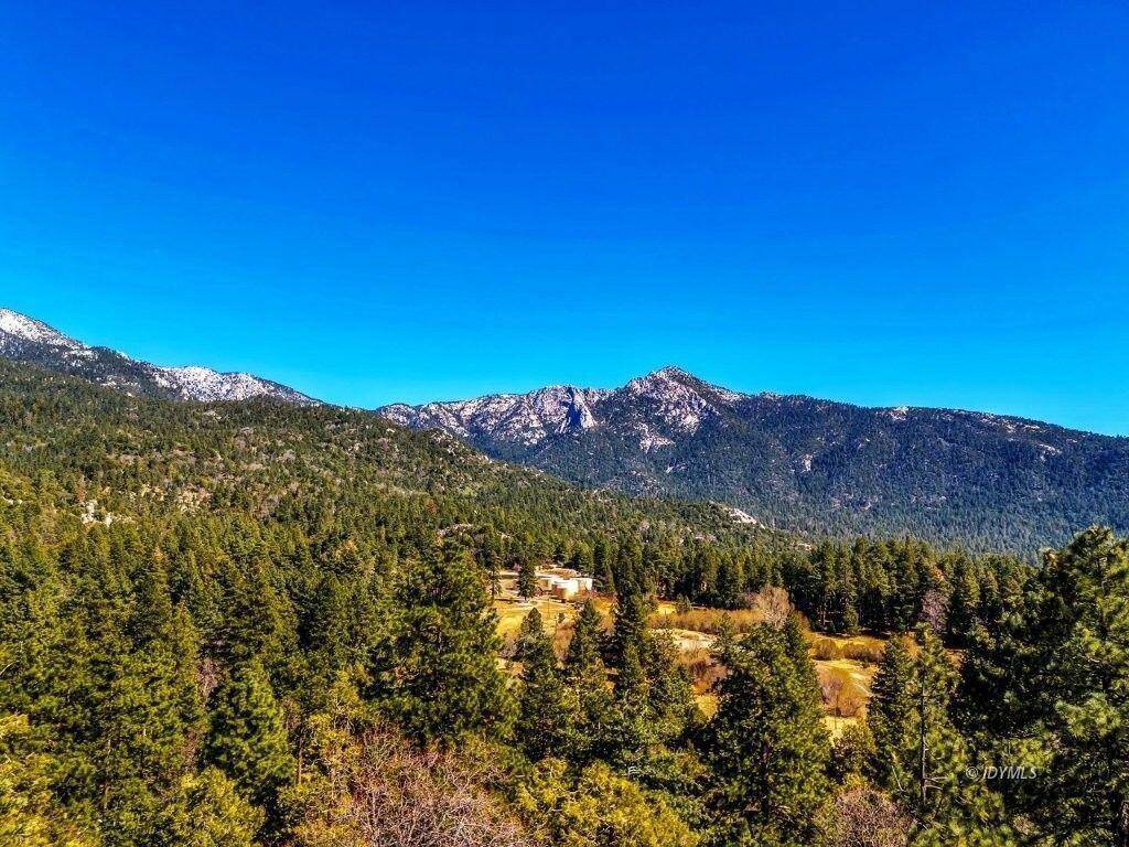 Idyllwild, CA 92549,25280 Scenic View DR