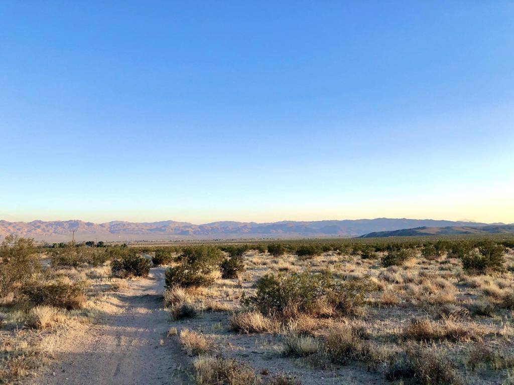 Joshua Tree, CA 92252,65225 Canterbury ST