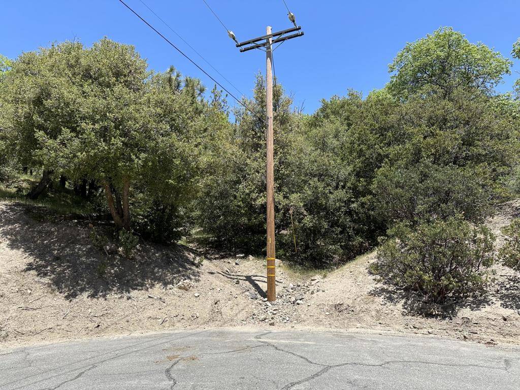 Lake Arrowhead, CA 92352,0 Sandalwood CT