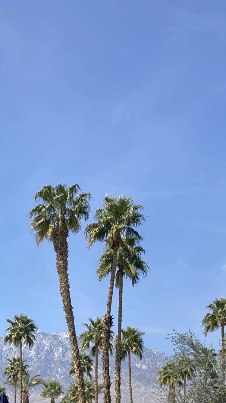 Cathedral City, CA 92234,69411 Ramon RD #907