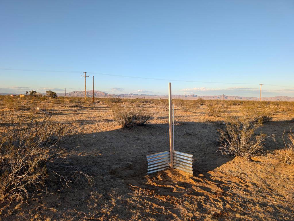 Landers, CA 92285,0 Bellwether