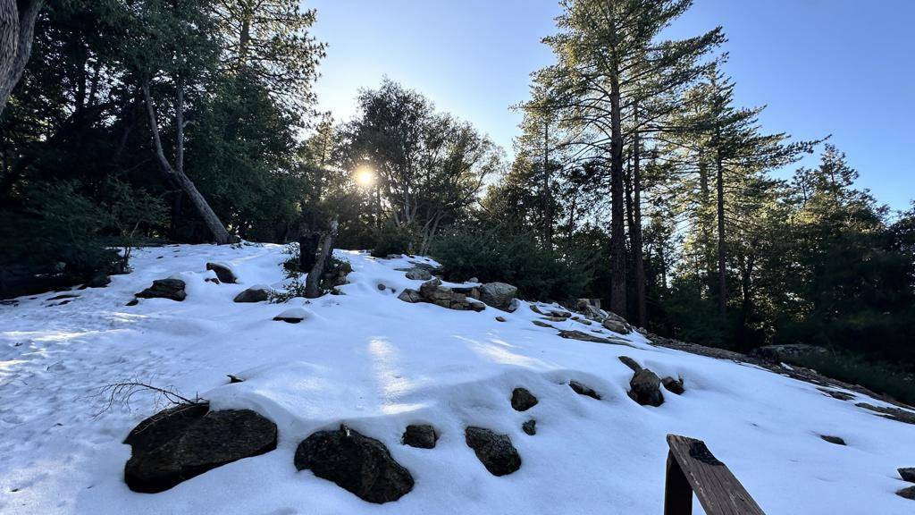 Idyllwild, CA 92549,25235 Nestwa TRL