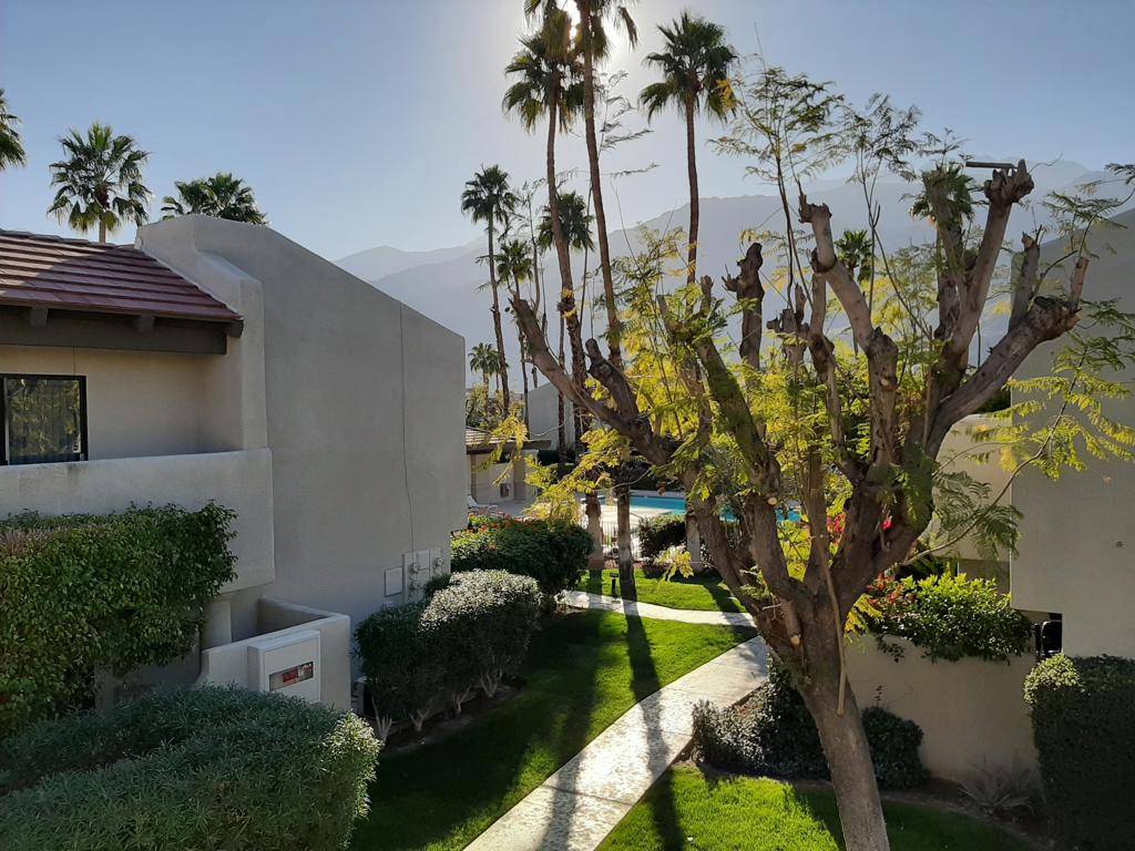 Palm Springs, CA 92262,1150 E Amado RD #8a2
