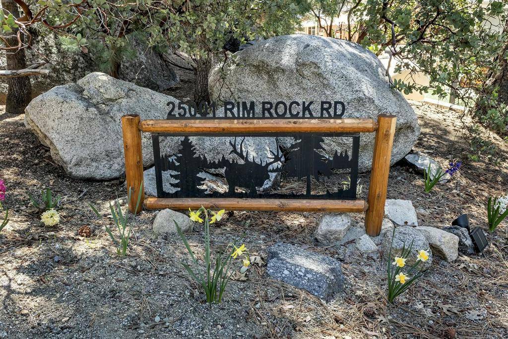 Idyllwild, CA 92549,25001 Rim Rock RD