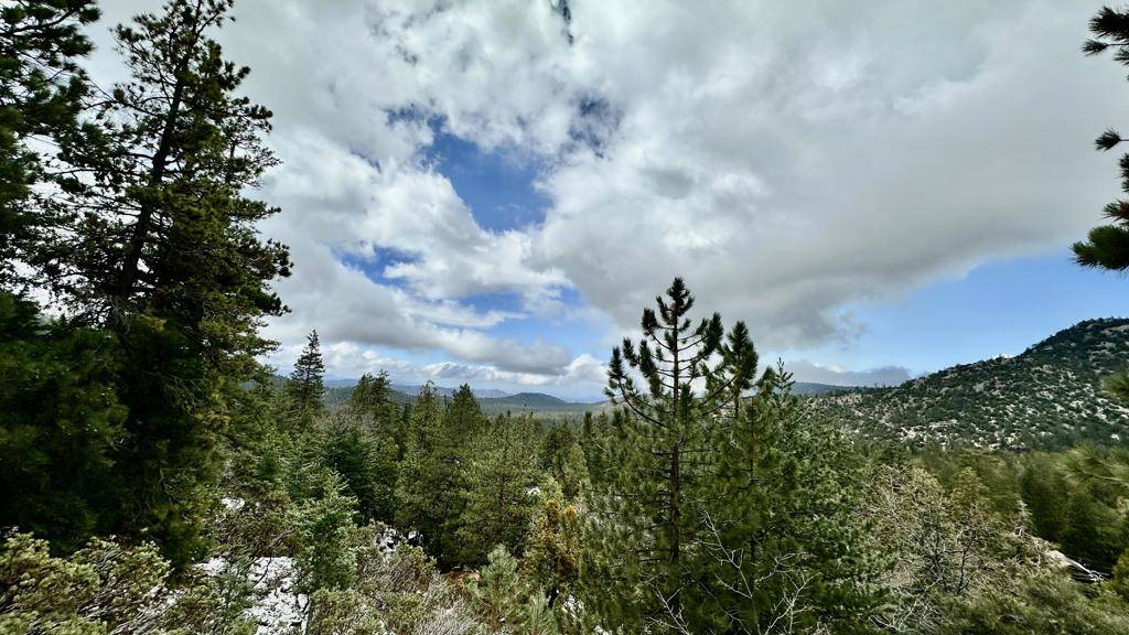 Idyllwild, CA 92549,0 Cougar RD