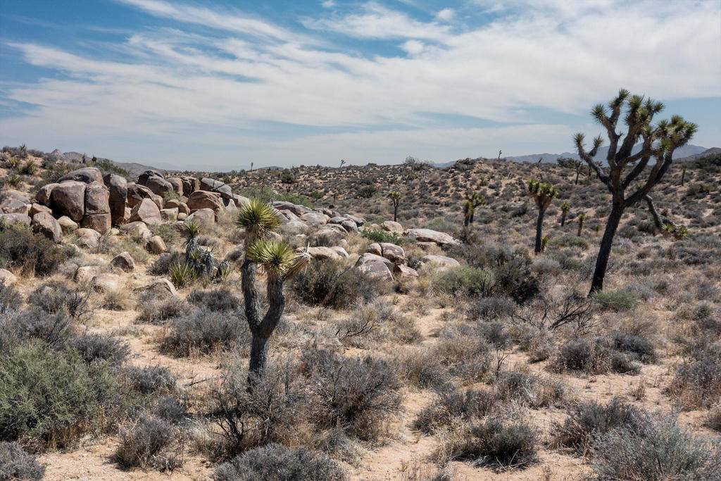 Pioneertown, CA 92268,101 Hondo ST