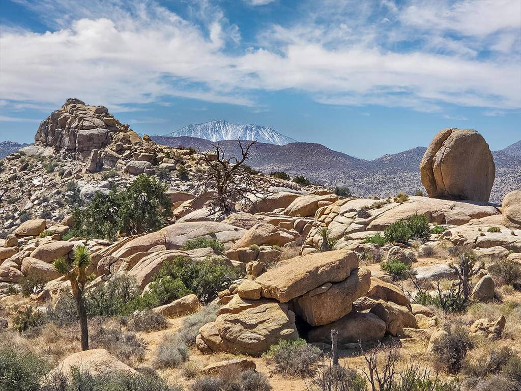 Pioneertown, CA 92268,101 Hondo ST