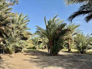 Thermal, CA 92274,83560 61st AVE