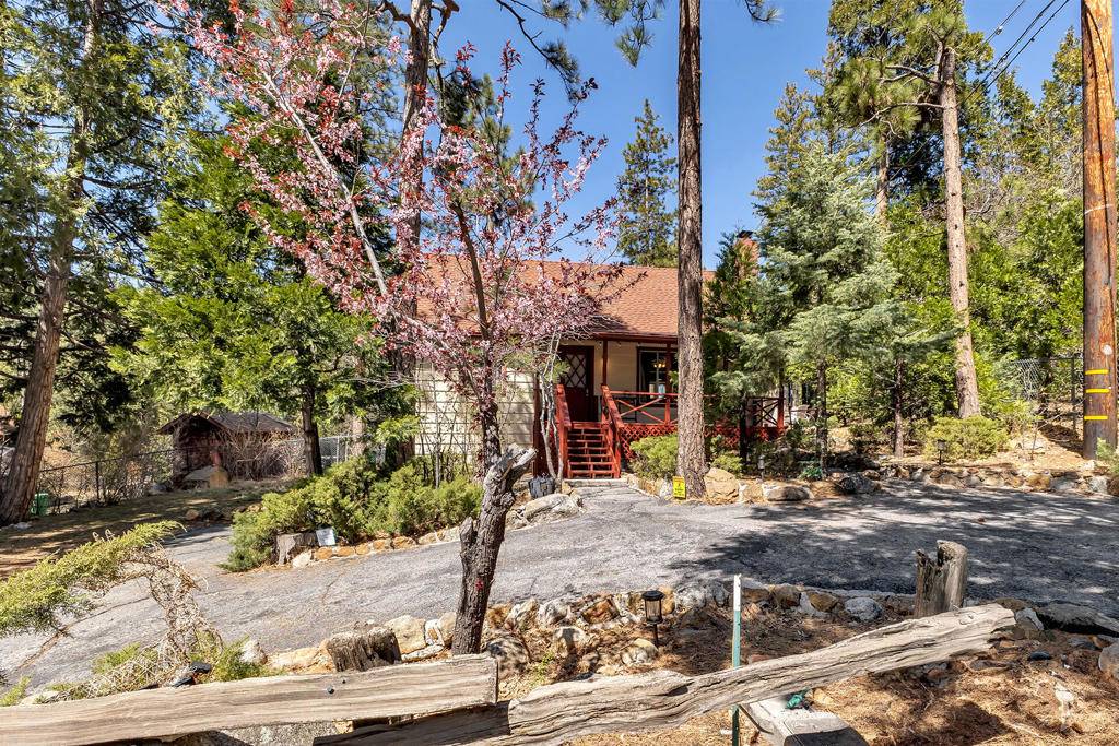 Idyllwild, CA 92549,55250 John Muir RD