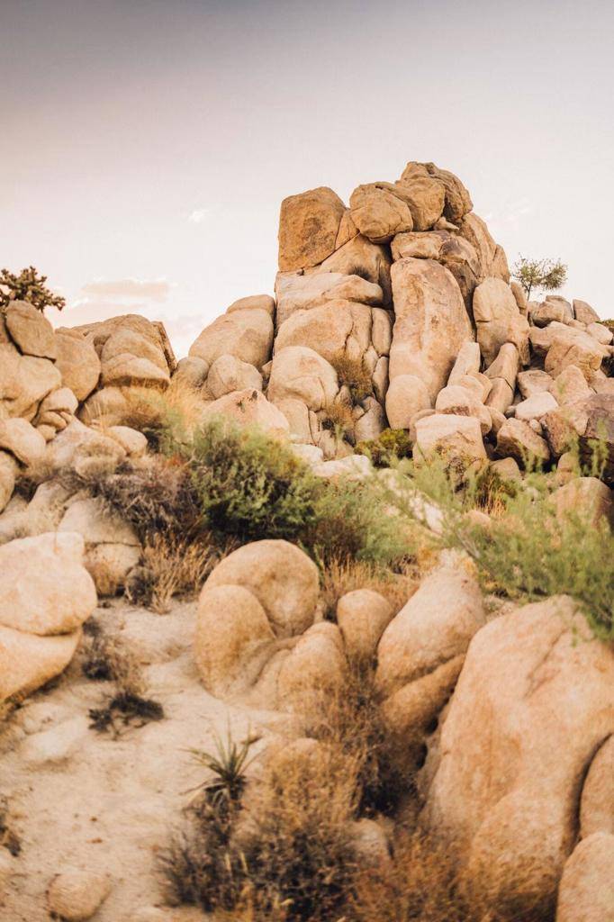 Yucca Valley, CA 92284,5935 Buena Suerta RD
