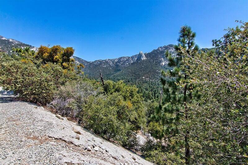 Idyllwild, CA 92549,54560 Craghill DR
