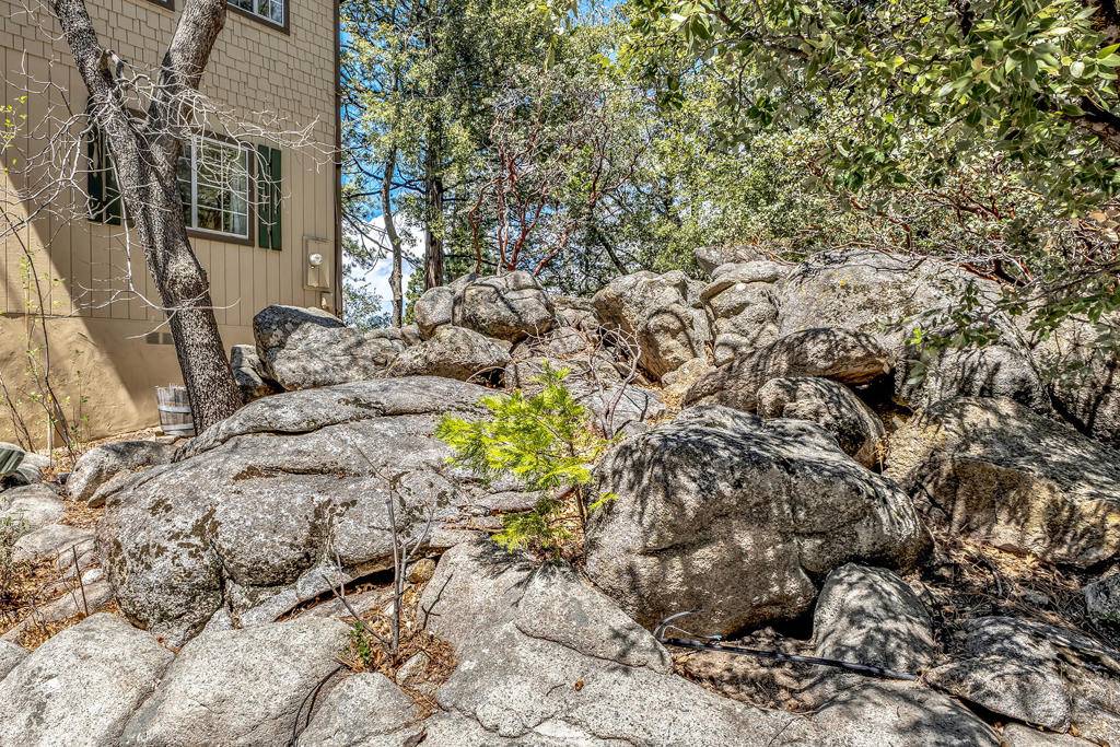Idyllwild, CA 92549,52365 Pine Ridge RD