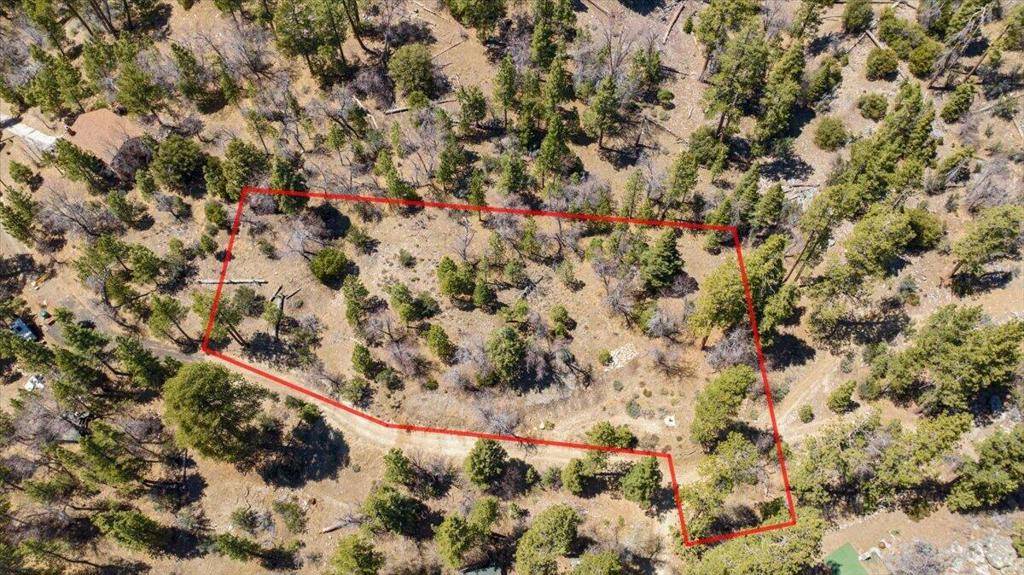 Fawnskin, CA 92333,1286 Fawnskin DR