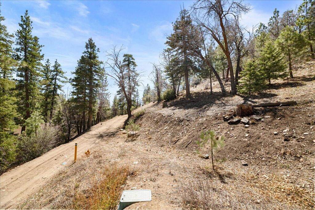 Fawnskin, CA 92333,1286 Fawnskin DR