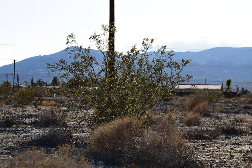 Thermal, CA 92274,2833 Beachcomber AVE