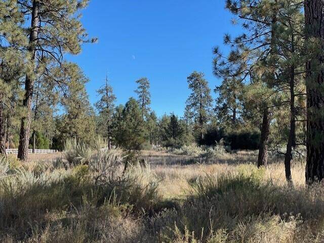 Mountain Center, CA 92561,Lot 18 Pyramid Peak RD