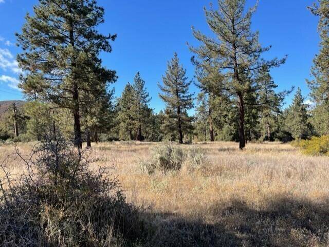 Mountain Center, CA 92561,Lot 18 Pyramid Peak RD