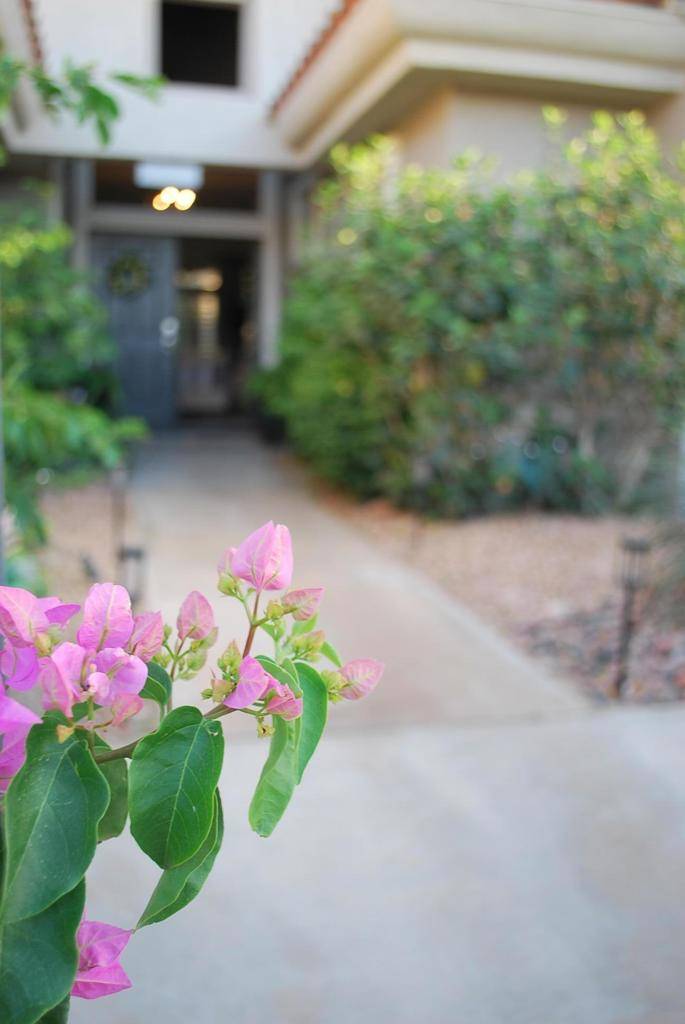 Palm Desert, CA 92211,78287 Willowrich DR