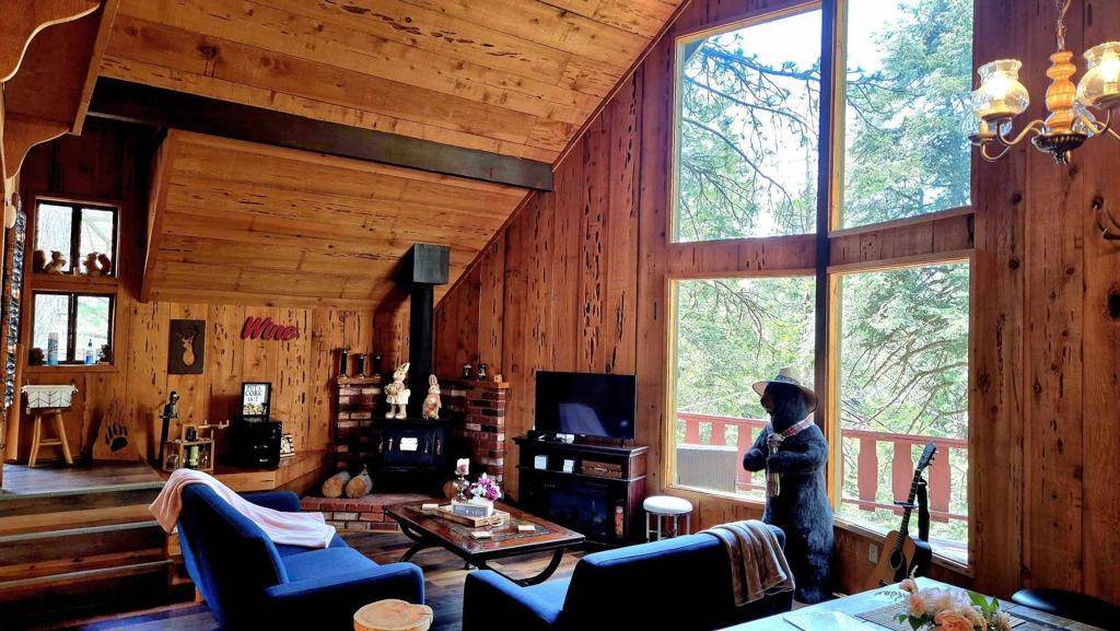 Idyllwild, CA 92549,25390 Shadow Oaks