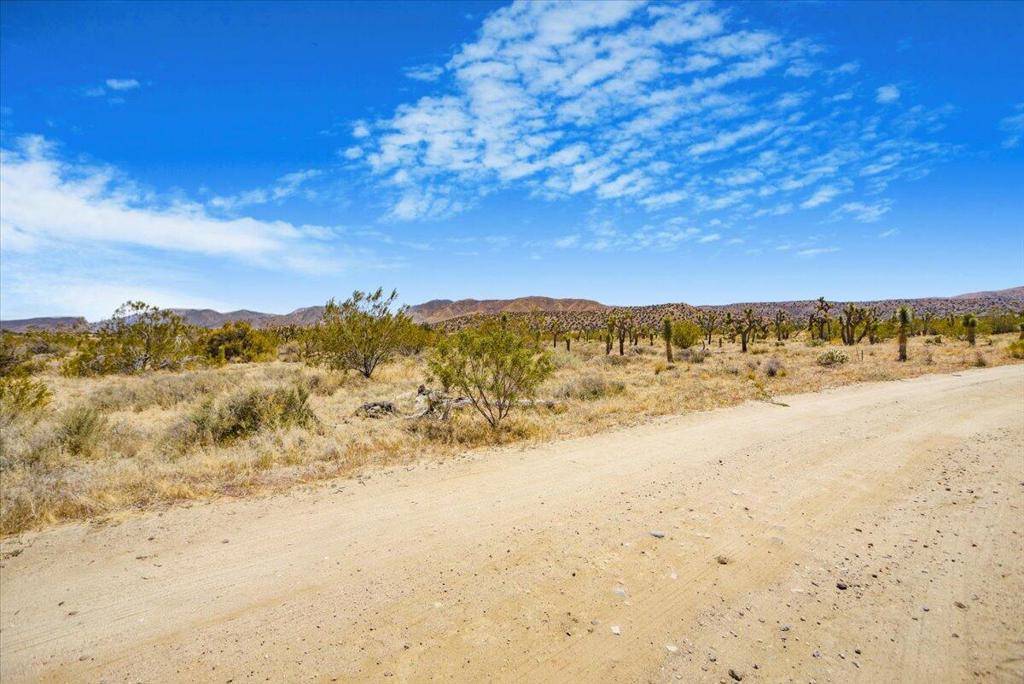 Pearblossom, CA 93553,0 Ave W4 Drt Vic 98th Ste