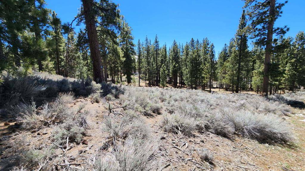 Big Bear, CA 92315,140 Olympic DR