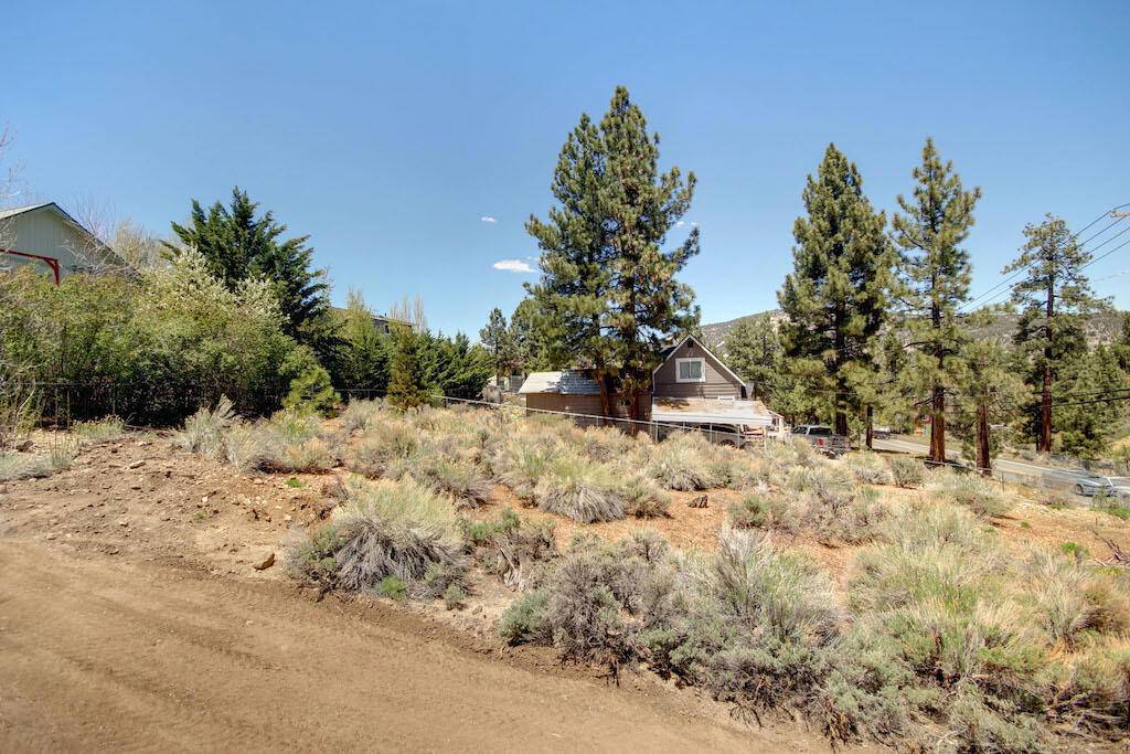 Big Bear, CA 92314,233 Greenspot RD