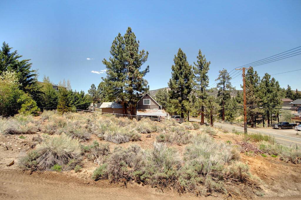 Big Bear, CA 92314,233 Greenspot RD