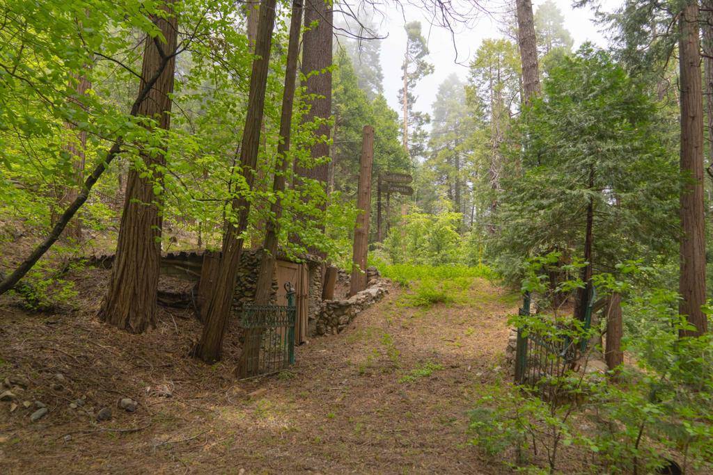 Lake Arrowhead, CA 92317,710 Blue Jay Canyon RD