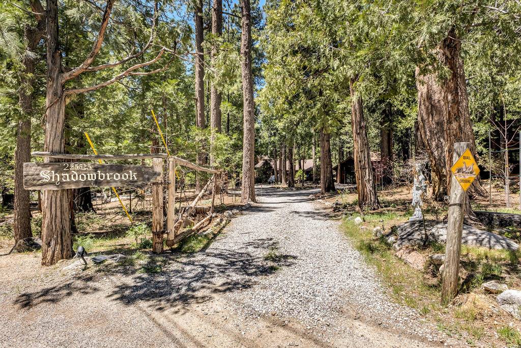 Idyllwild, CA 92549,25625 Tahquitz DR