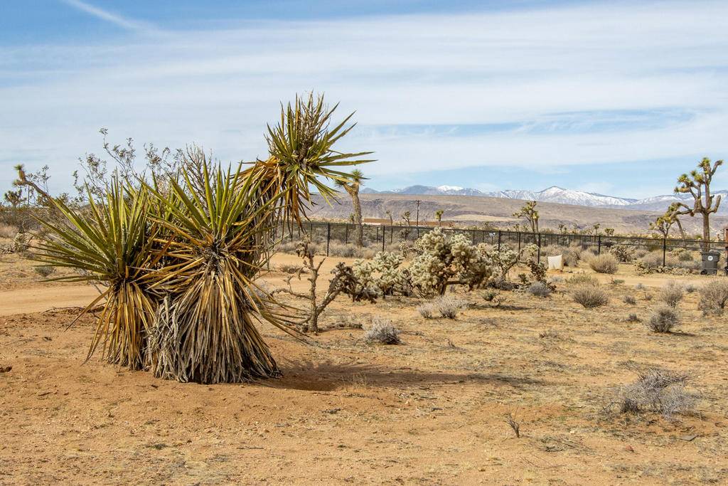 Yucca Valley, CA 92284,57941 Luna Vista LN