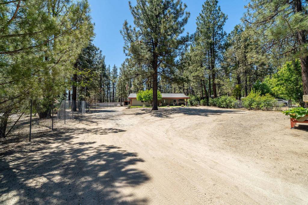 Mountain Center, CA 92561,59341 Courtesy DR
