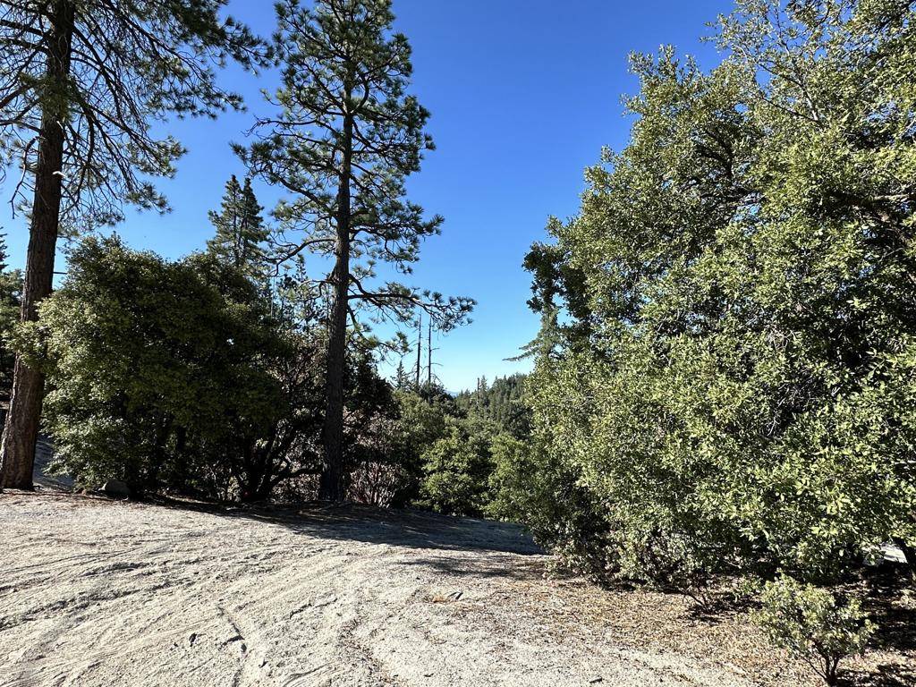 Idyllwild, CA 92549,0 Mountain View