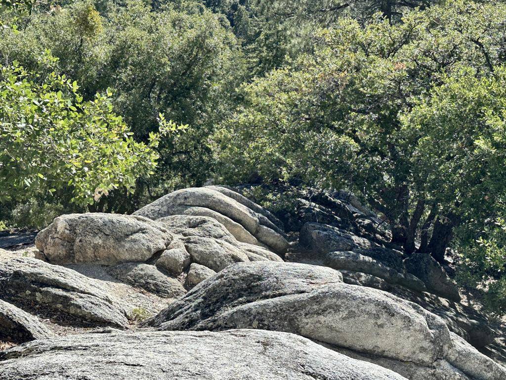 Idyllwild, CA 92549,0 Mountain View