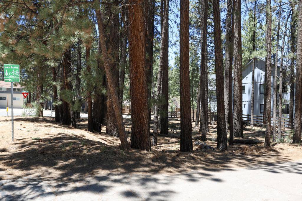 Big Bear, CA 92315,689 Summit BLVD