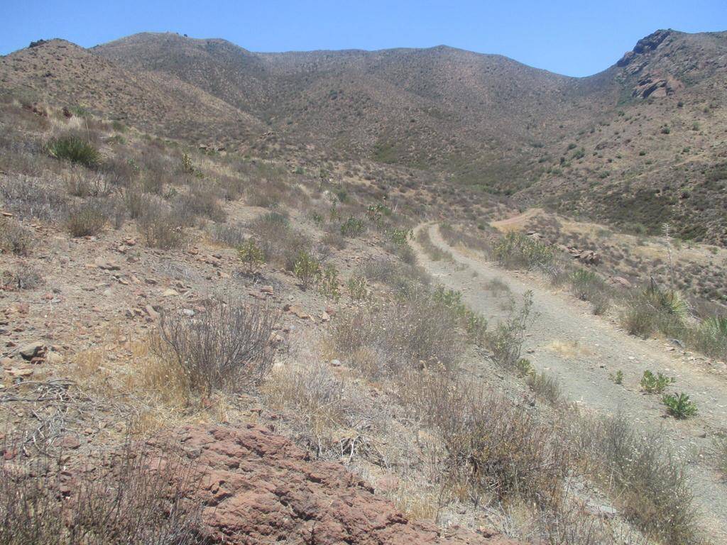 Acton, CA 93510,28 Hughes Canyon