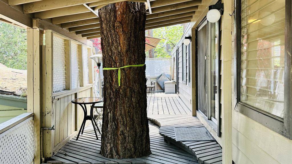 Idyllwild, CA 92549,25955 Hwy 243 #6