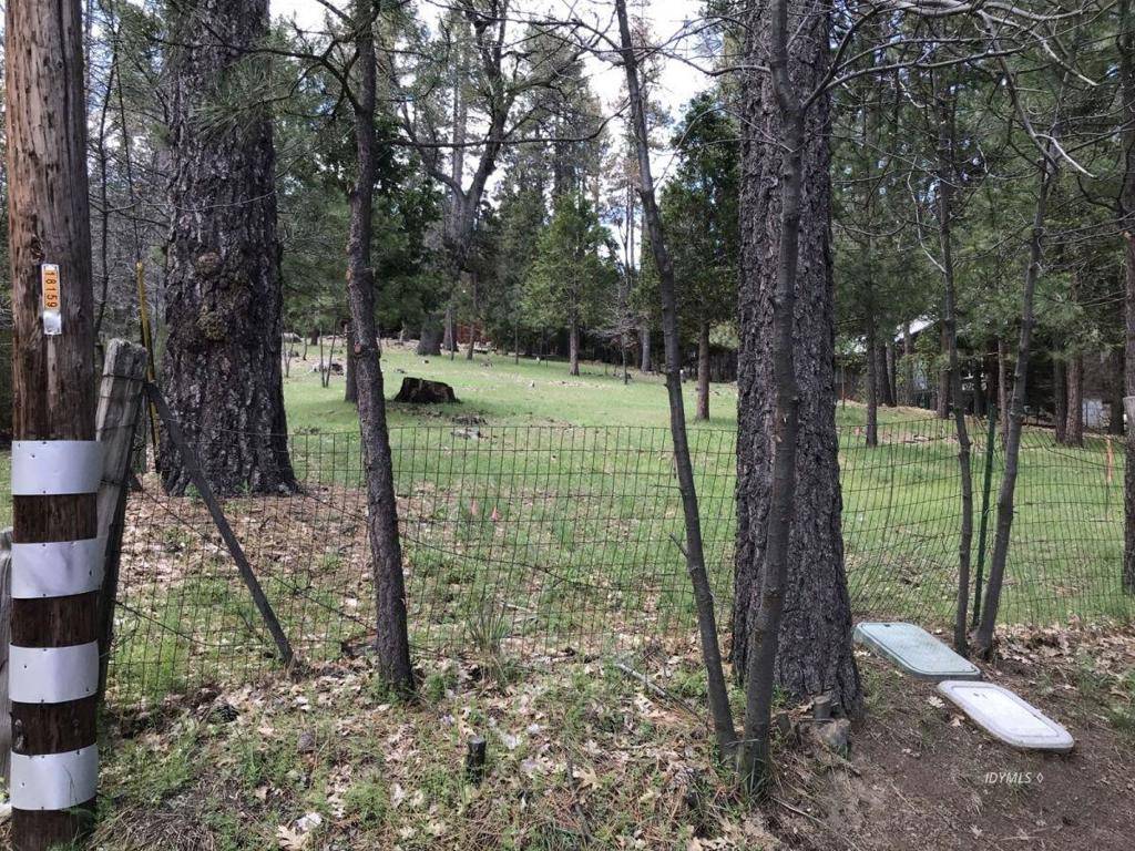 Idyllwild, CA 92549,0 Tollgate RD