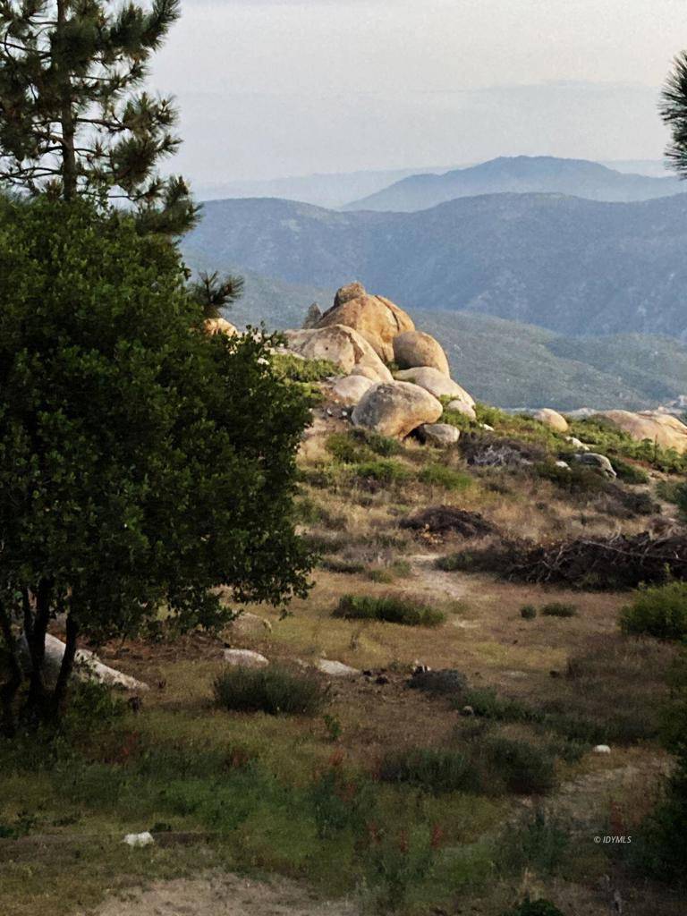 Idyllwild, CA 92549,52411 Double View DR