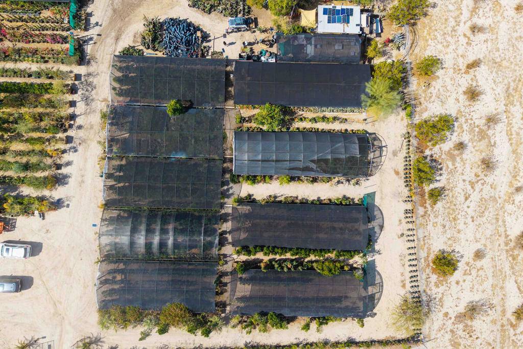 Desert Hot Springs, CA 92241,16961 Evans Lane LN